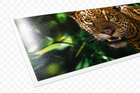 ArtDeco 17 Mil High Resolution Water Resistant Gloss Canvas in 36"x75'