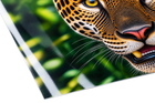 ArtDeco Waterproof Inkjet Film for screen printing in 44" x 100'