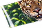 ArtDeco 22 Mil PolyCotton Blend Bright White Water Resistant Gloss Canvas in 24"x50'