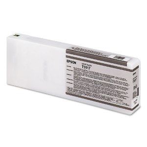 Epson UltraChrome K3 Light Black Ink Cartridge (700 ml) - Image Pro International