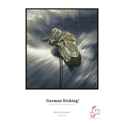 hahnemuhle German Etching 310 Matte FineArt Paper (36" x 39' Roll) - Image Pro International